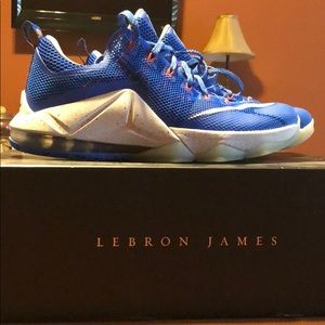 Nike Lebron Low 12’s